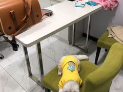 -艾吉宠物医院·疑难杂症转诊中心·猫友好(碧江路院)