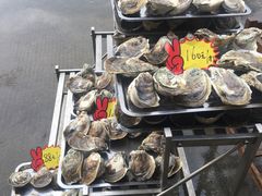 -蚝专家(北滘店)