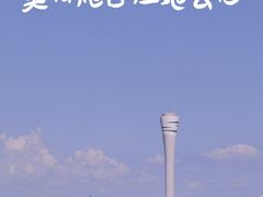 -上海吴淞炮台湾国家湿地公园