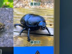 -上海昆虫博物馆