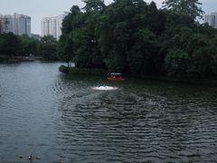 -荔湾湖公园