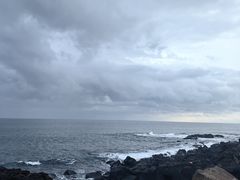 -涉地可支