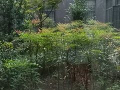 -苏州市立医院(白塔院区)