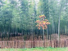 -天目湖御水温泉·度假酒店