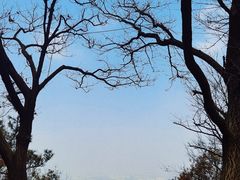 -惠山国家森林公园