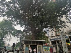 -胡志明市美术馆