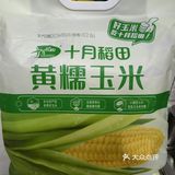 十月稻香黄糯玉米是我远在东北的妈妈在网上给买的