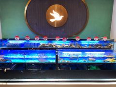 -鸽子侯·家宴·平价海鲜(市图书馆店)