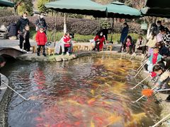 -成飞公园