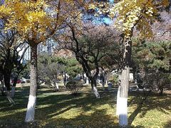 android_upload_pic-辽宁大学(崇山校区)