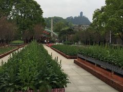 -南山植物园