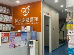 -创凡宠物医院·骨专科  猫科中心(西乡分院)