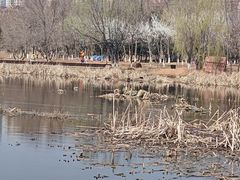 -前关湿地公园