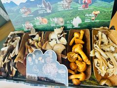 -芸山季·云南山珍菌火锅(南翔印象城MEGA店)