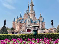 -上海迪士尼度假区