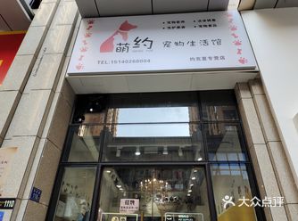 老板很热情，可以看出来是真心爱猫咪狗狗的