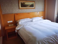 -维也纳酒店(成都春熙路李家沱地铁站店)