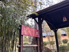 -崇阳三特浪口温泉