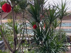 -La Terre乐田(万象城店)