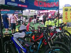 -道路口单车爱瓦士dahon大行