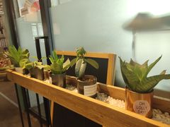 -ZM COFFEE(西安路店)
