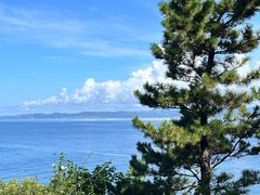 -南紀白浜 浜千鳥の湯 海舟