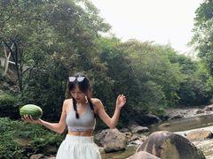 -广州白江湖森林公园