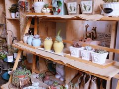 -Kitchen·Y洋厨房西餐厅(王府壹号店)