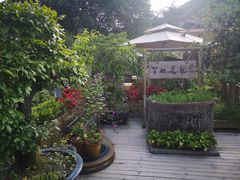 -丫口花园餐厅·融合菜