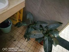 -新华百货CC Park购物广场