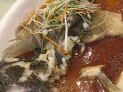 -一品粤珍轩(吴中路店)