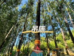 -紫海香堤香草艺术庄园