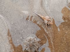 -椰风寨