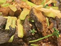 -老板恋上鱼(印象城店)