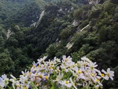 -云蒙山风景区