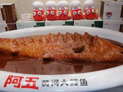 -阿五黄河大鲤鱼(纬三路店)