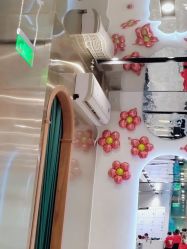 点击看大图 -卡尔诗·科技美肤连锁