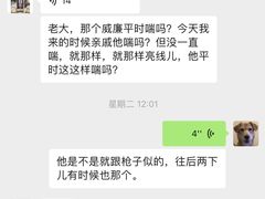 -派多格宠物(御景湾店)