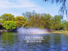 -上海共青森林公园