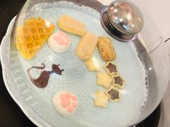 -三花喵·撸猫购宠·宠物生活馆(虹桥南丰城店)