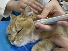 -美联众合动物医院·24h京西诊疗中心