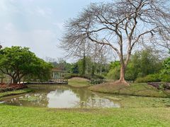 -中国科学院西双版纳热带植物园