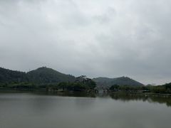 -顺峰山公园