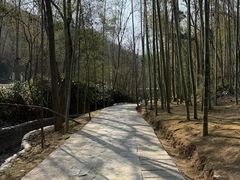 -皖西大裂谷