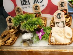 -菌彩云南野生菌火锅(新亚洲店)