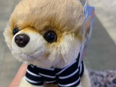 -TOYSRUS玩具反斗城(哈尔滨红博店)