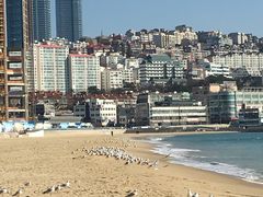 -海云台海滩