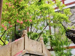 -龙潭水乡