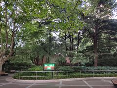 -华山儿童公园