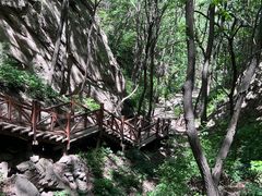 -大岭沟猕猴桃谷风景区